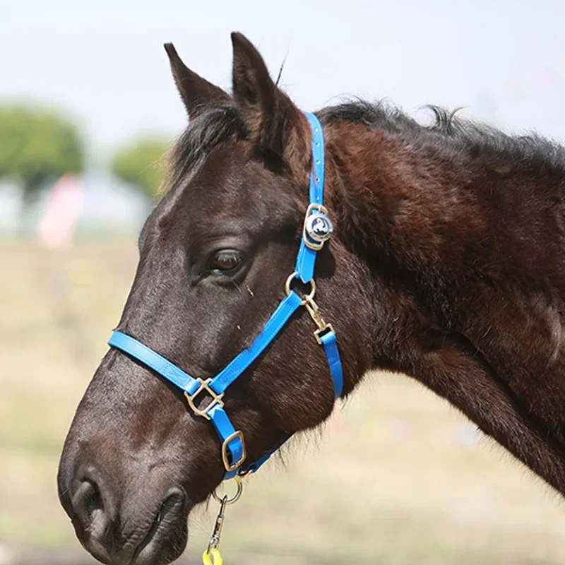 Adjustable Buckle Nose Halter with PVC Equestrian Supplies Horse Riding Waterproof Red Nylon Racing Horse Saddle Accessories