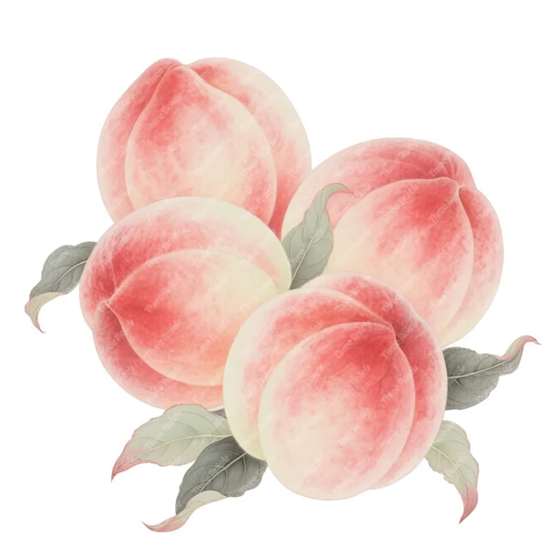 Three Ratels CAA87 Beautiful peach fruit basket wall stickers for home decoration Kitchen refrigerator decal