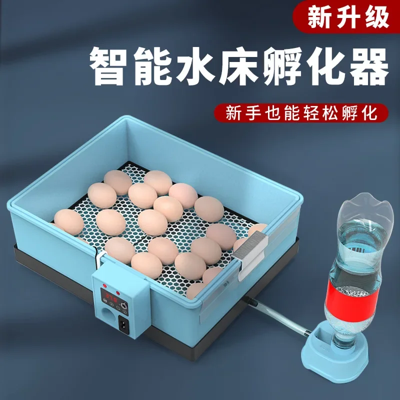 20-42 Eggs Incubator Brooder Bionic Waterbed Design Goose Duck Quail Pigeon Poultry Brooder Automatic Farm Hatchery Tool