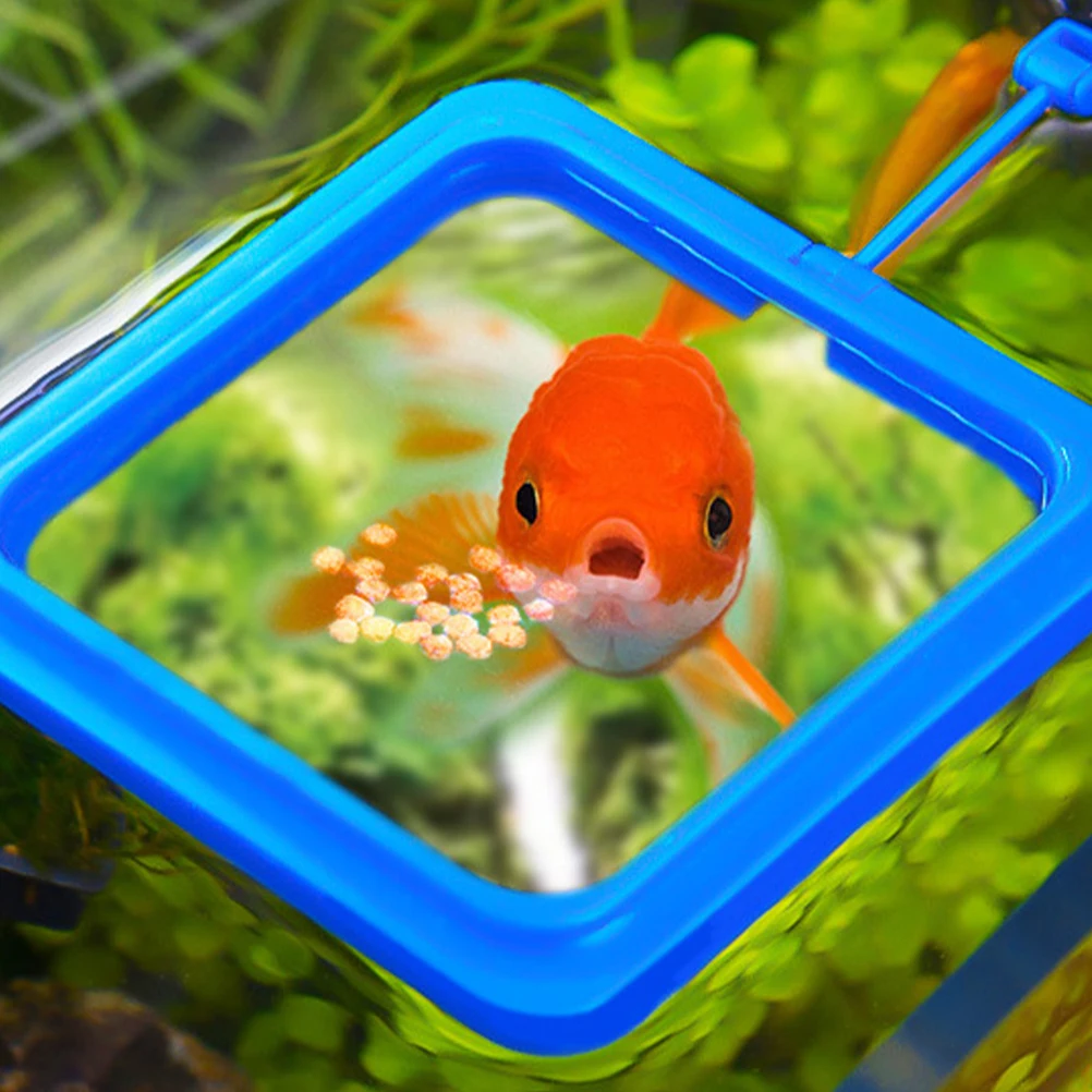

4 Pcs Fish Feeding Rings Wear Resistant Buoyancy Design Auto Feed Adjust Aquarium Supplies R om Color Small Tank Accessories Pet