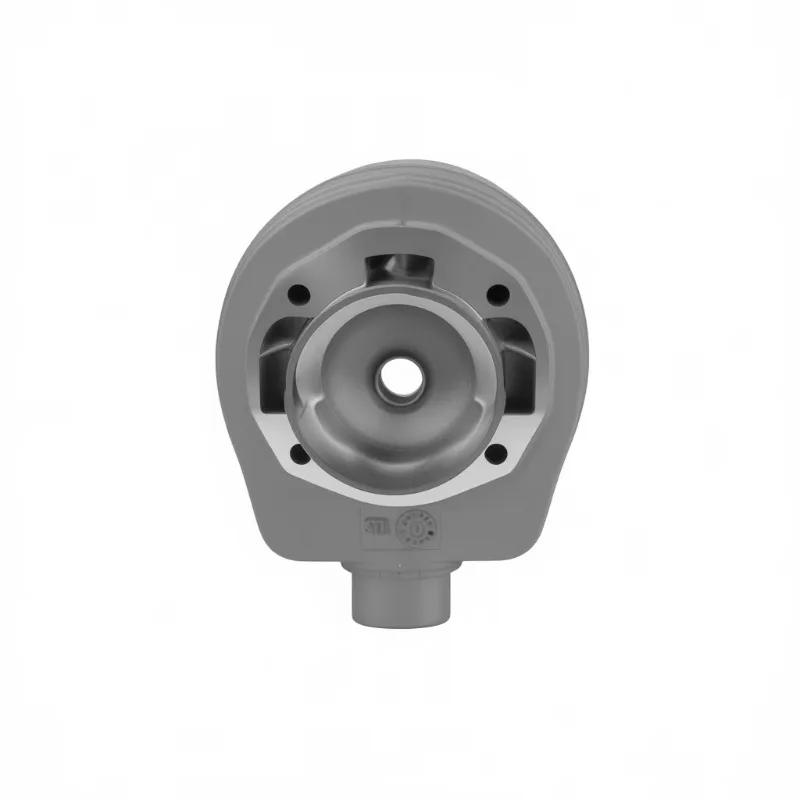New Pinasco 177cc Magny Cours S2 2-Port Aluminum 2-Stroke Cylinder Head for Street Motorcycles