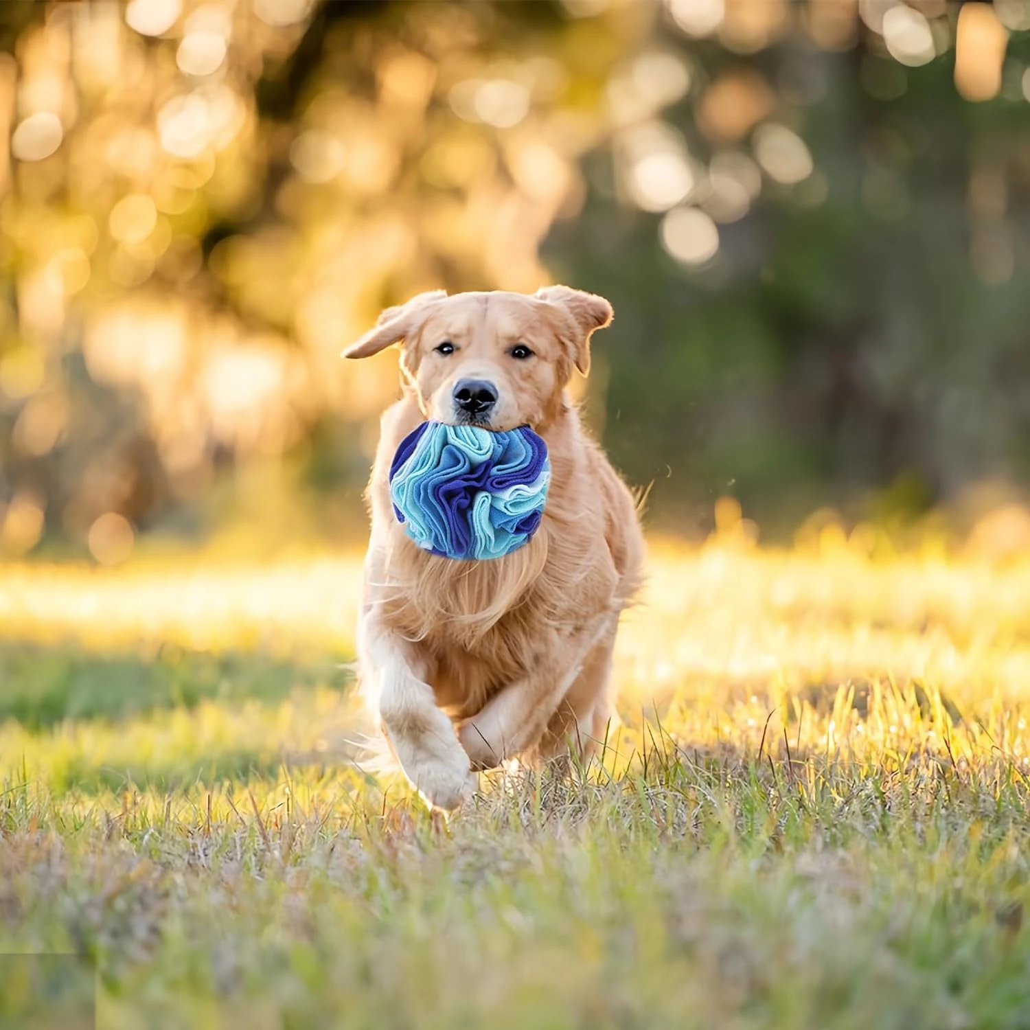 Colorful and Vibrant Oreos Snuffle Ball Toy - Exciting Interactive Design for Small to Medium-Sized Dogs - Enhances Foraging Ski