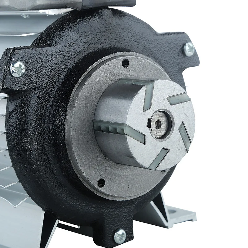 750W Self‑Priming Gear Oil Pump Portable Electric Extractor For Diesel Engine Oil Hydraulic Lubricating Oil Transfer