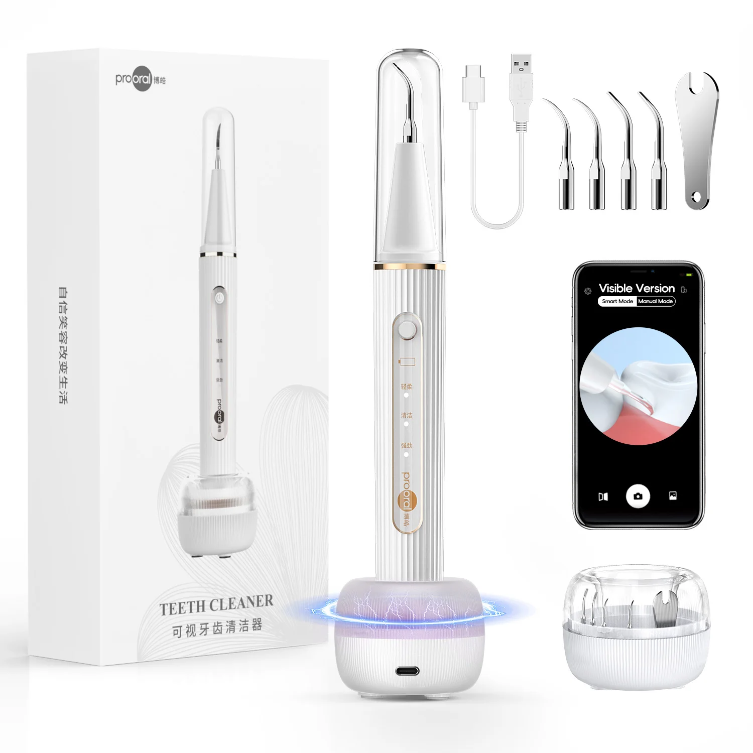 Plaque/Tartar Remover for Teeth, Dental Calculus Remover Cleaning Kit with Led Light- 4 Heads & UV Sanitizing Charging Case