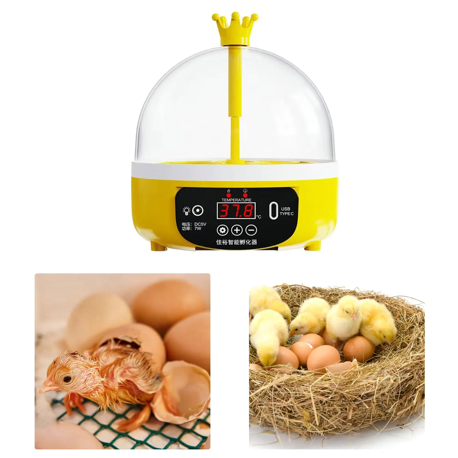 4 Eggs Incubator Egg Hatcher Small Portable USB Digital Poultry Household Chicken Incubator for Pigeon Duck Eggs Incubator