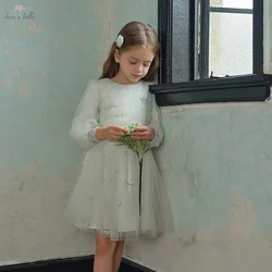 Dave Bella Girls Baby Princess Dress 2025 Spring Long Sleeves Charm Elegant Embroidery Children's Mesh Dress Gentle DK1250094