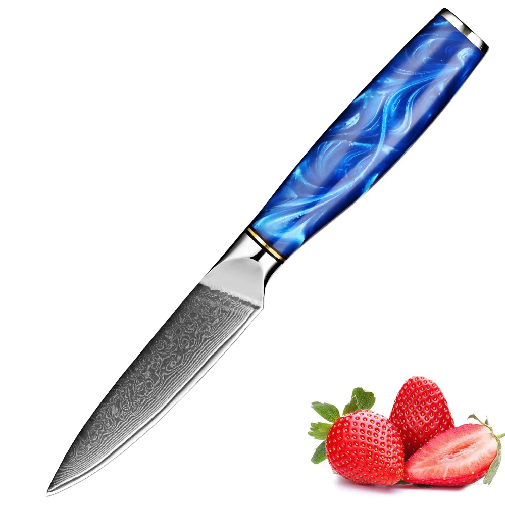 Allzweckmesser, 3,5-Zoll-Schälmesser, blauer Harzgriff, Damaststahl 67-lagiges Küchen-Multifunktionsmesser für Obst, Fleisch