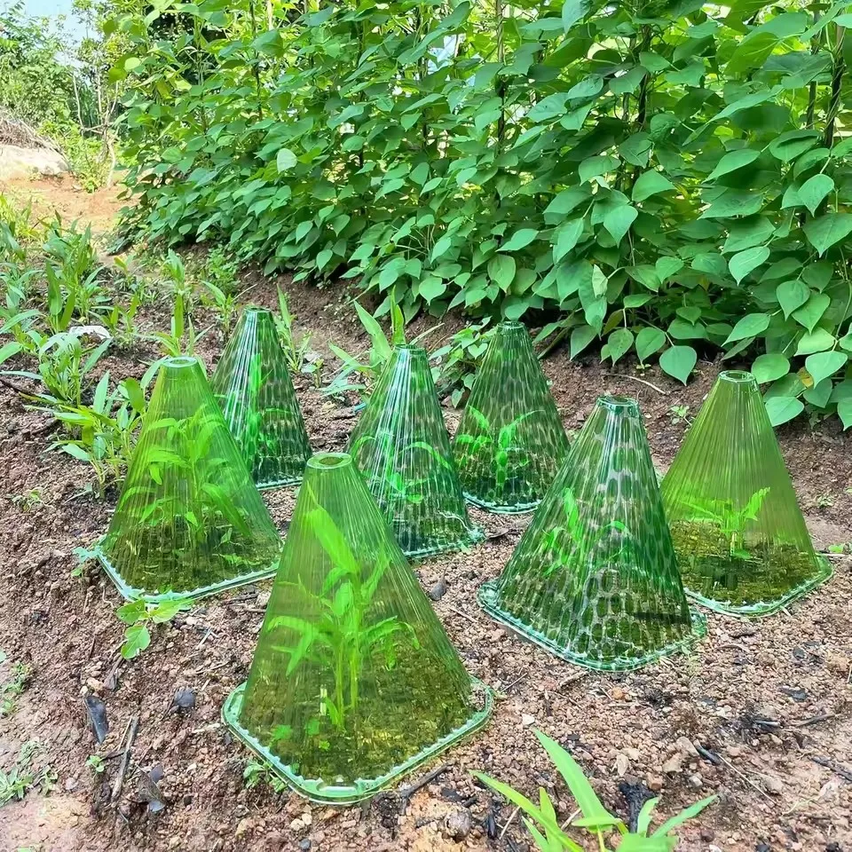 Capa Para RelóGio D… - image