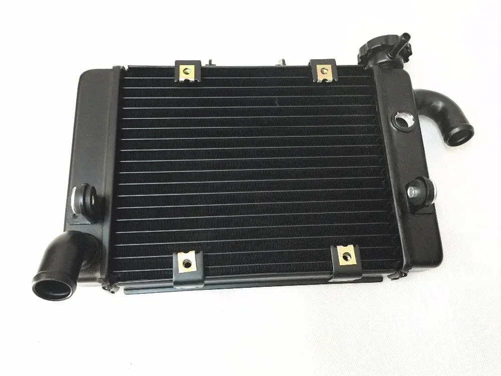 Radiator Water Tank for Benelli BJ300 BN302 TORNADO TNT300 STELS 300 BN TNT 300 302 Motorcycle Cooling System Part