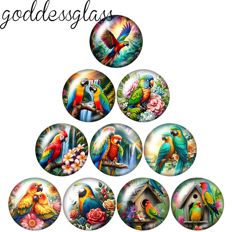 Beauty Macaw Birds parrot in forest Flowers 12mm/18mm/20mm/25mm Round photo glass cabochon flat back Making findings Jewelry