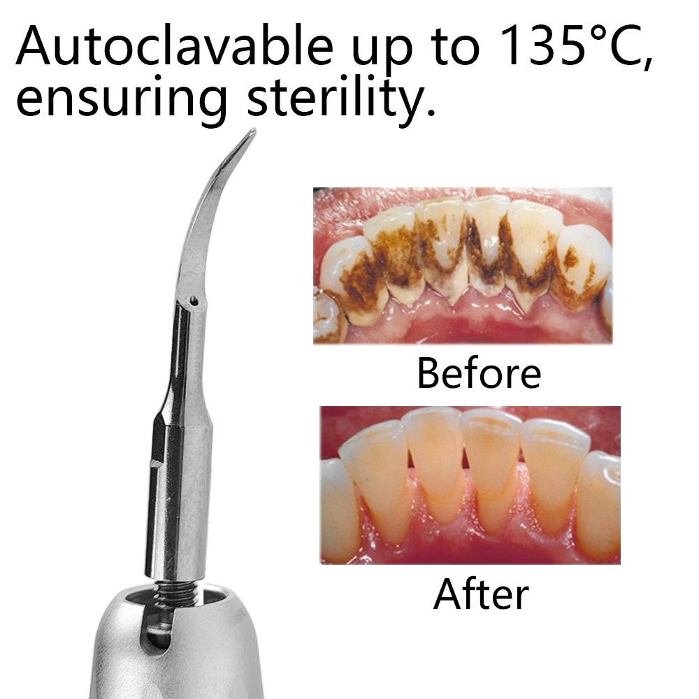 Dental Ultrasonic Air Perio Scaler Handpiece Hygienist 2/4 Hole with 3 Tips Tooth Cleaner Air scaler dentistry tools