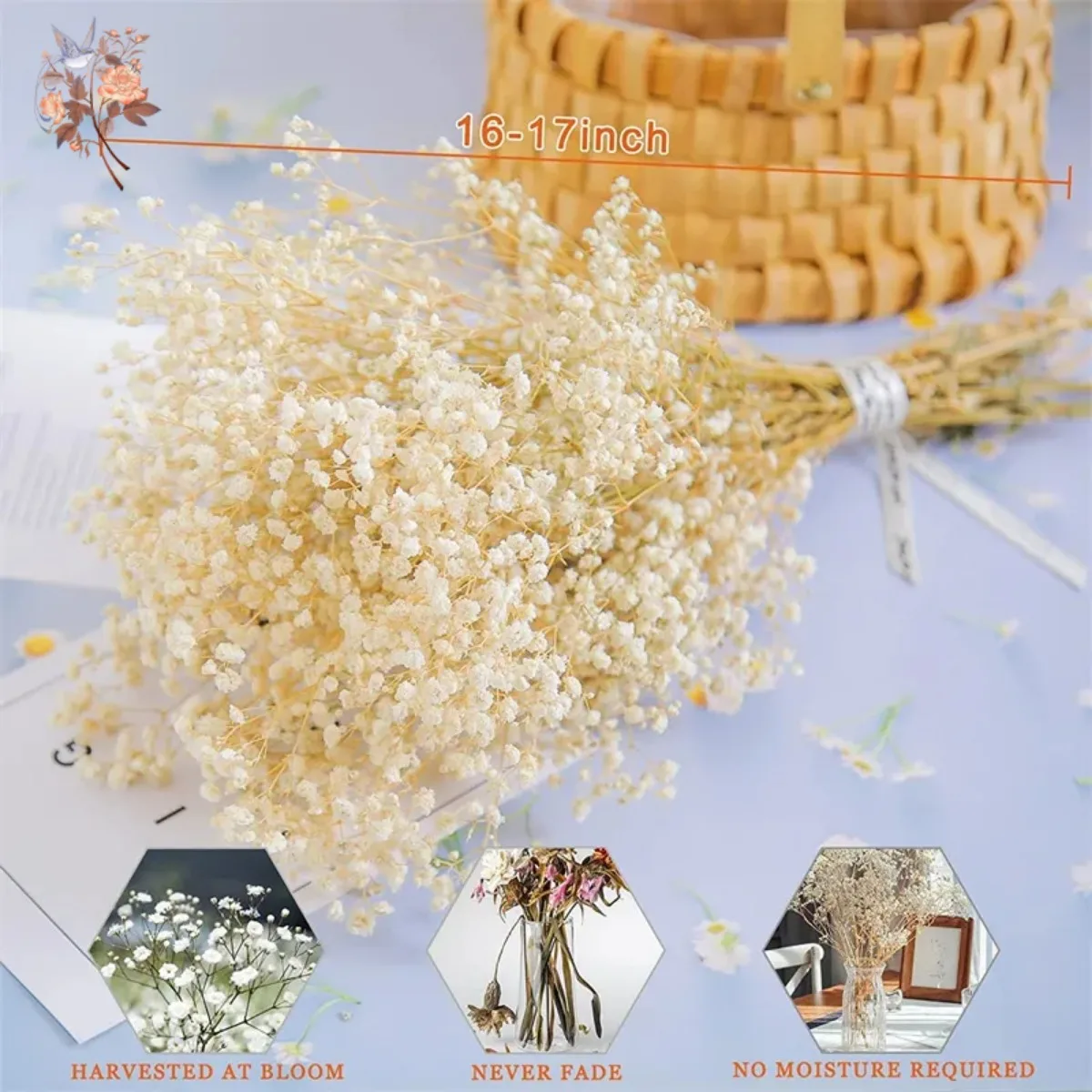 Natural Fresh Gypsophila Branches Dried Flower Wedding Decoration Arrangement Preserved Baby Breath Bouquet Home Christmas Decor