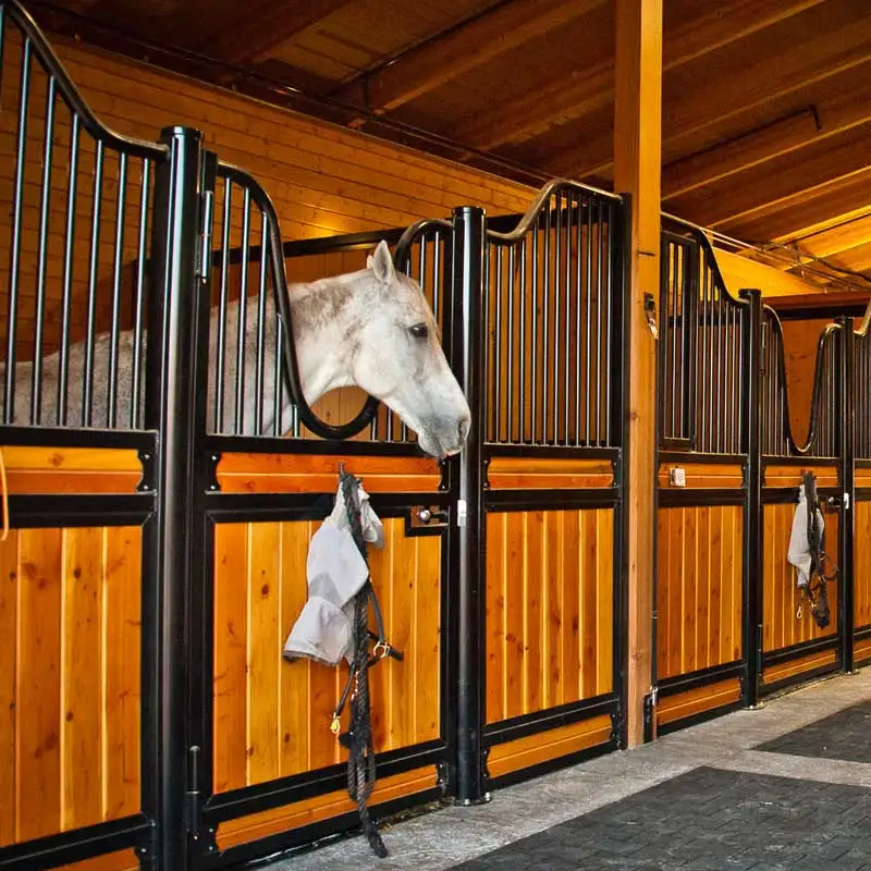 Horse Stables Powder Coated Steel Outdoor Stall for Horses Horse Stall Outdoor Prefab