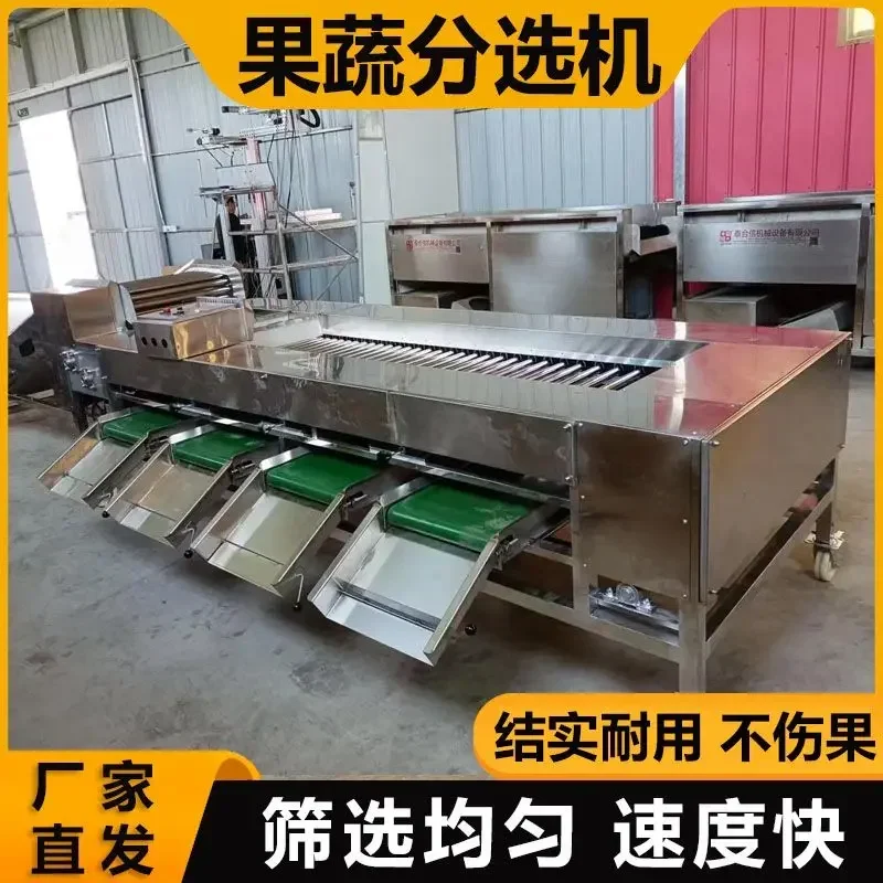Plum Passion Fruit Orange Hawthorn Screening Machine Vegetable Fruit Sorter Multifunctional Fruit Classifier