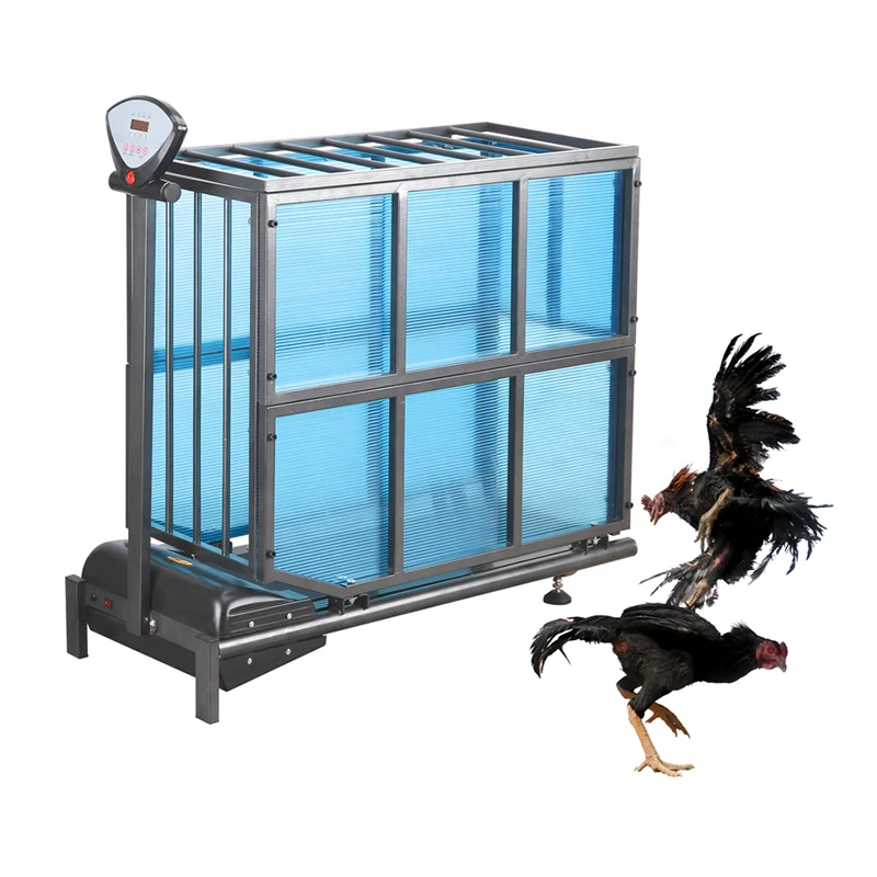 

Electric Animal Training Treadmill Running Cockfighting Cage Treadmill Pet Treadmill