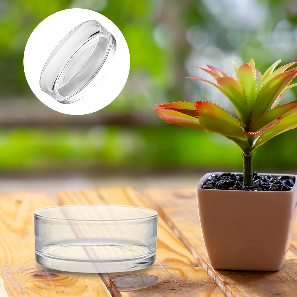 

Household Clear Glass Terrarium Decorative Hydroponics Planter Round Glass Vase Large Transparent Fish Tank Flower Pot