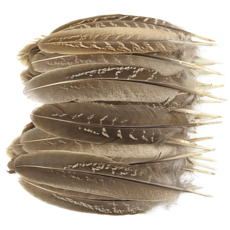 Natural Pheasant Feathers for Crafts Feather Dream Catcher Jewelry Handicrafts Accessories Plumes Decoration Diy Craft Supplies