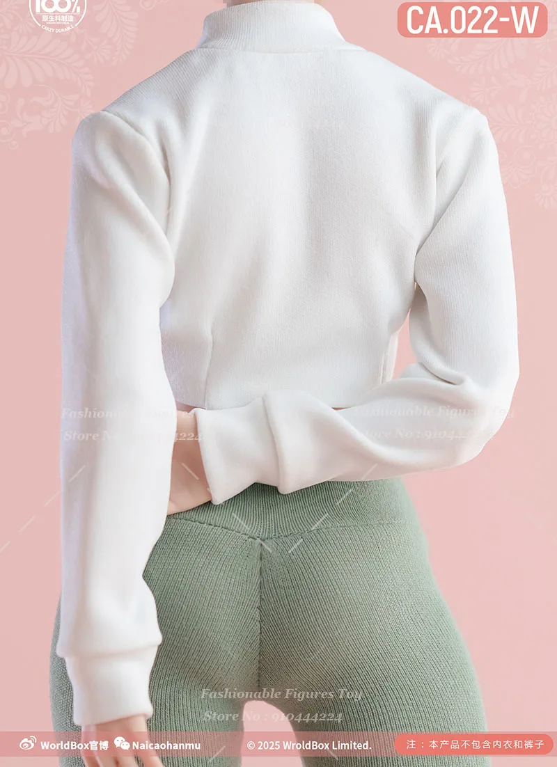 Worldbox CA022 1/6 المرأة الجندي جاكيت زيبرا قصيرة الأكمام الطويلة الرياضة اليوغا معطف ل 12 بوصة عمل الشكل الجسم الدمى #3