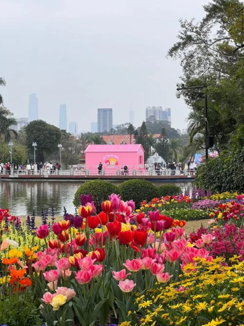 

Silicone Storage Box 2025 FOR Jetour Freelander Center Console Modification Anti-slip Pad Accessories Organizer Decoration