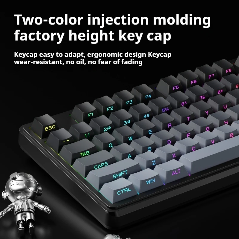 EWEADN Wired Gaming Keyboard, RGB Backlit with Side-Printed Gradient Keycaps, Multimedia Knob Control & Display Screen