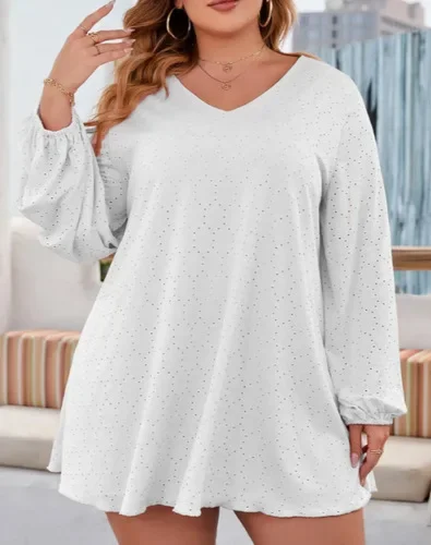 Women Plus Size Mini Dress V Neck Long Sleeve Ruffle Cuff Eyelet Embroidery Loose A Line Casual Dress
