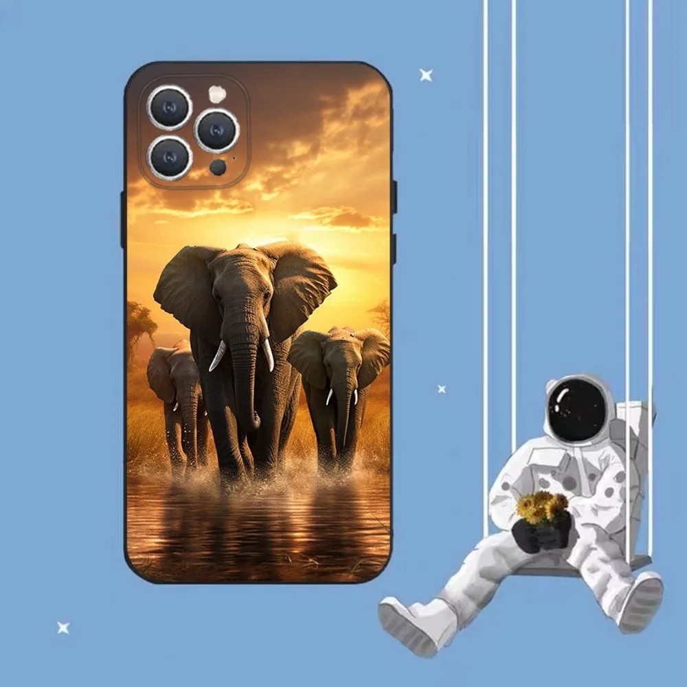 Animal Elephant cute  Phone Case For iPhone 16,15,14,13,12,Pro,Max,11,7,8,Plus,XR,XS Max Shockproof Silicone Soft Shell