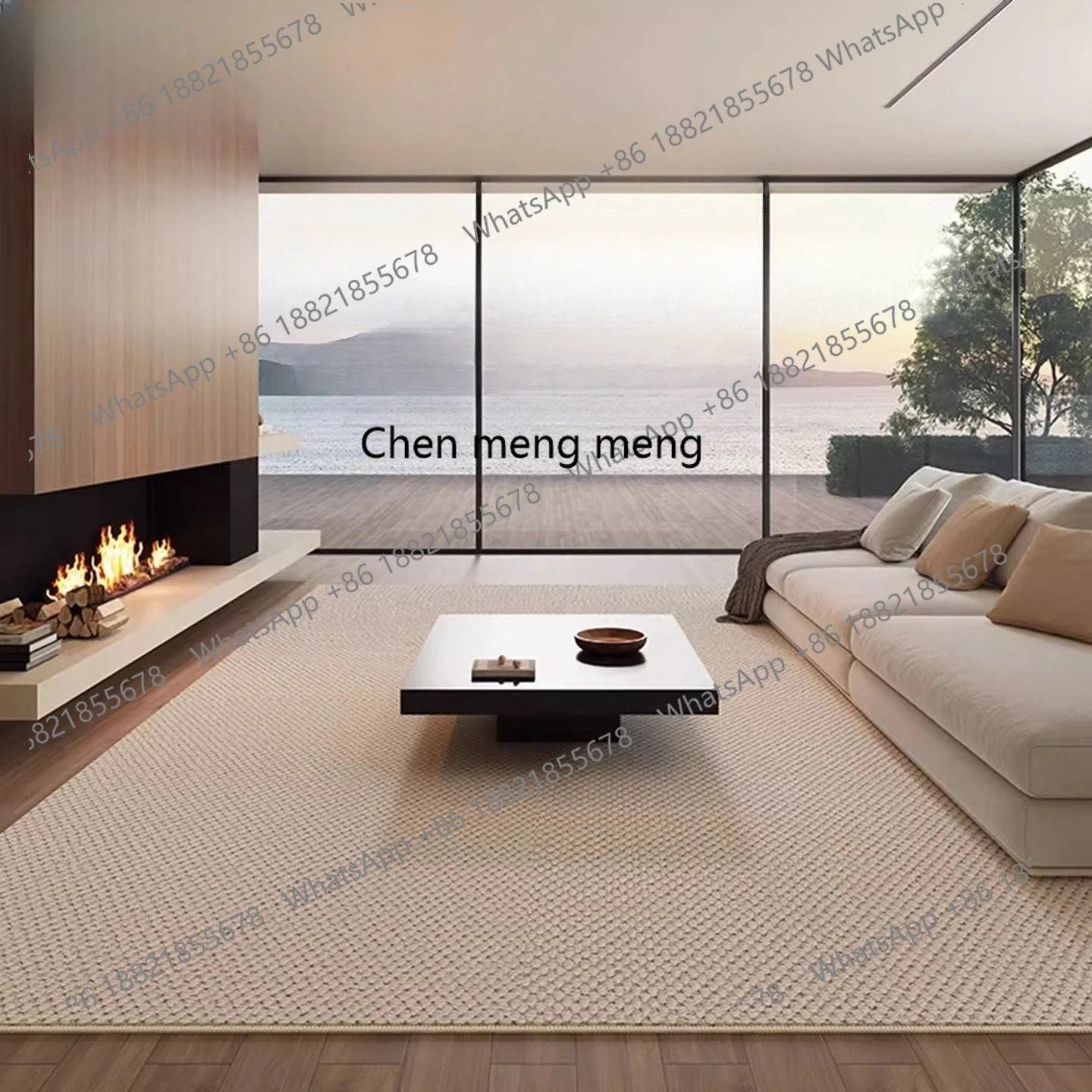 

Living room carpet, high-end light luxury, waterproof, stain-resistant, no-wash, home sofa, bedroom thickened floor mat