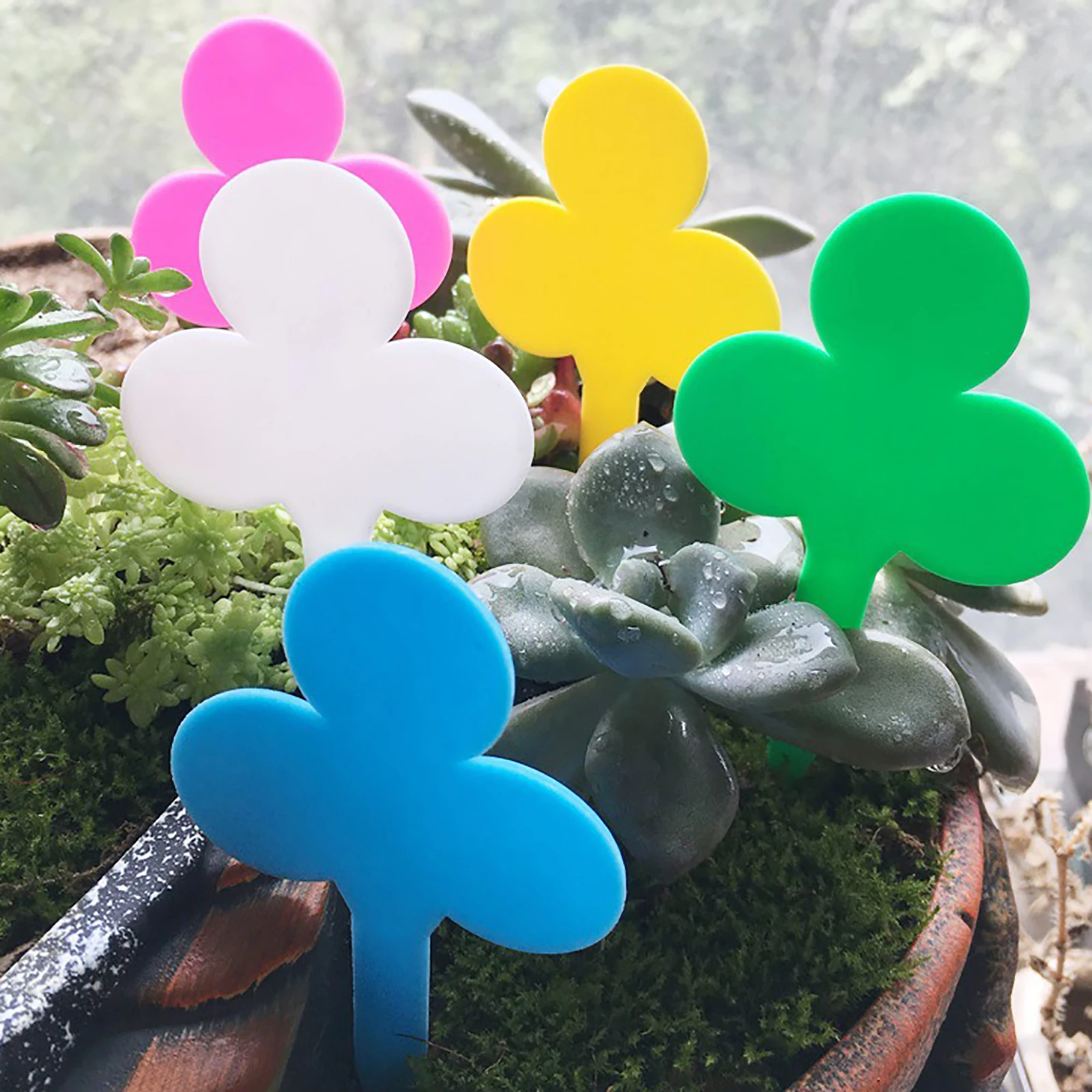 50/100Pcs Plant Labels Garden Plants Classification Sorting Sign Tags Seedling Nursery Markers Potted Waterproof Landing Tags