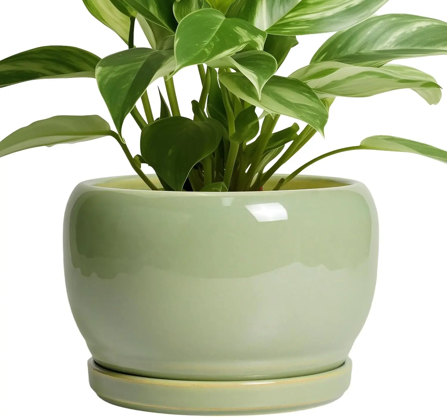 

8 Inch Plant Pot - Ceramic Planters with Drainage Hole and Tray, Round Flower Pot for Indoor Plants, Modern Decorative Pla