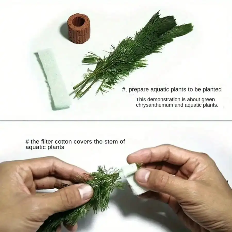 حلقات تثبيت نباتات حوض السمك عالية الجودة - حلقات التنفس للنباتات المائية تضمن الاستقرار والصحة في المناظر المائية