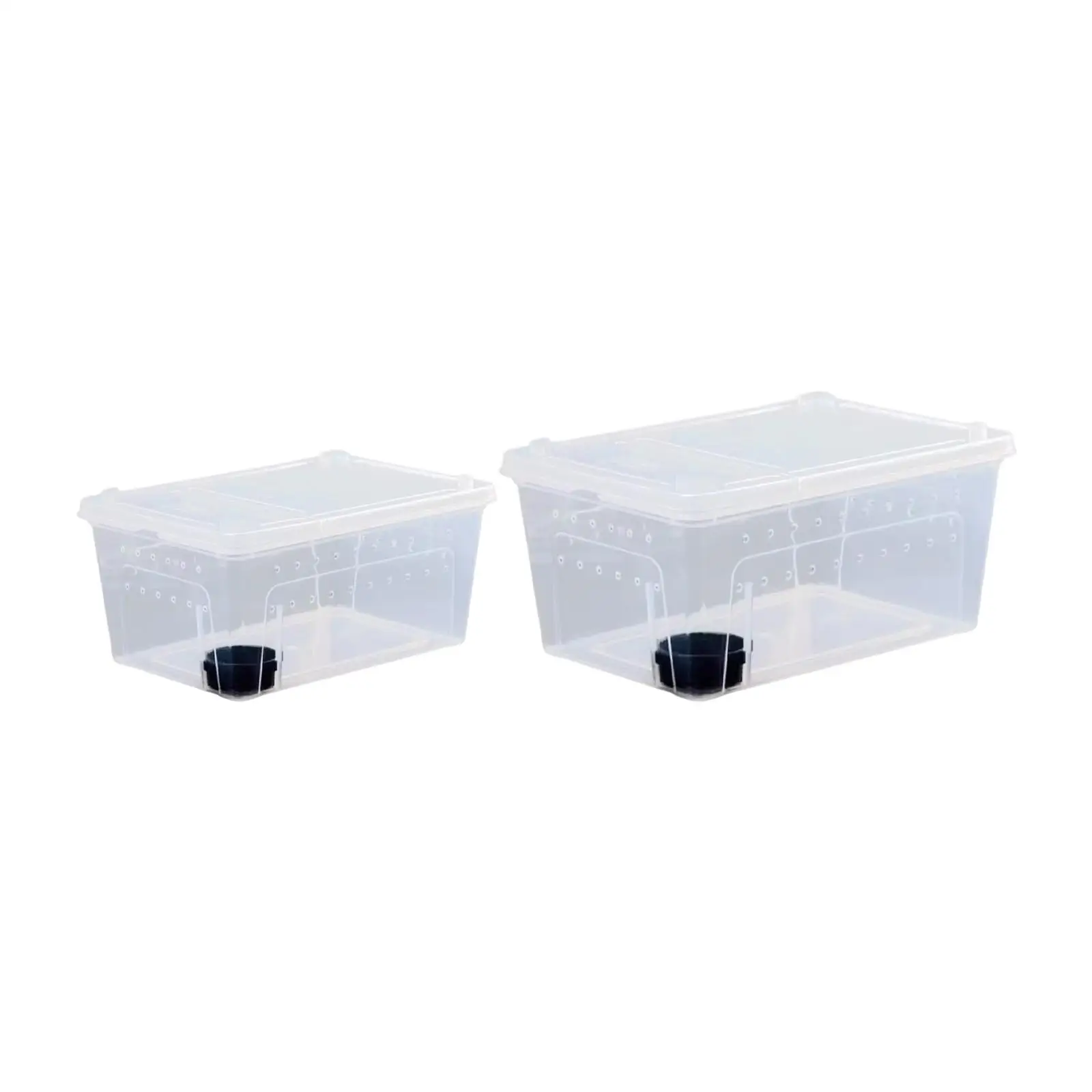 Clear Reptile Terrarium Portable Breeding Cage ABS Enclosure with Air Holes and Feeding Bowl for Tarantula Gecko and Scorpion
