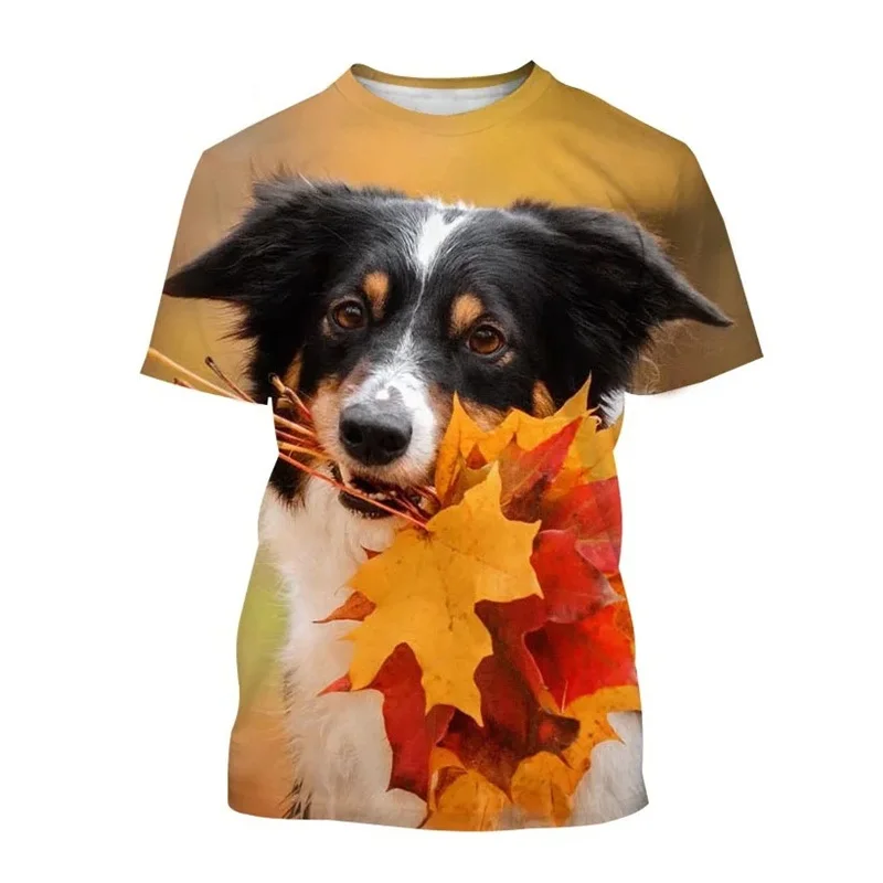 New Popular Border Collie 3D Printed T-shirt Fashion Cute Dog  Animal Unisex Children Round Neck Casual Short Sleeve Tees