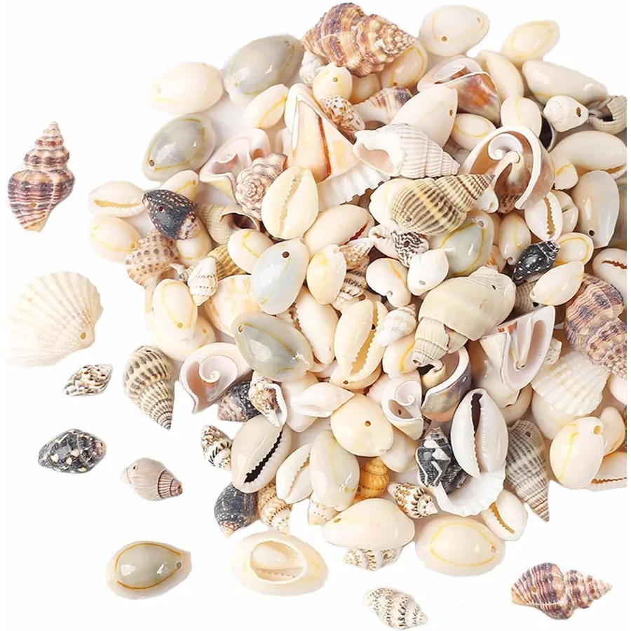 

180g Sea Shells Mixed Ocean Beach Seashells Tiny tural Spiral Seashells for Home Wedding Decorations Fishtank Vase Fillers Cand