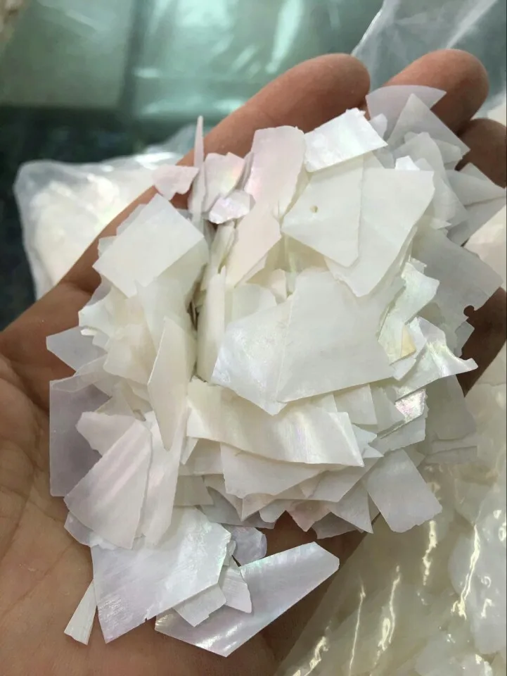 500g/1000g Japanese Shell Nail Fragments - Sparkling Crushed Mother-of-Pearl Flakes, Iridescent Nail Art for Oceanic Manicures
