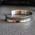 Pure Steel Colour