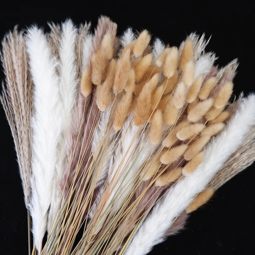 #3 Trending Dried Flowers Right Now