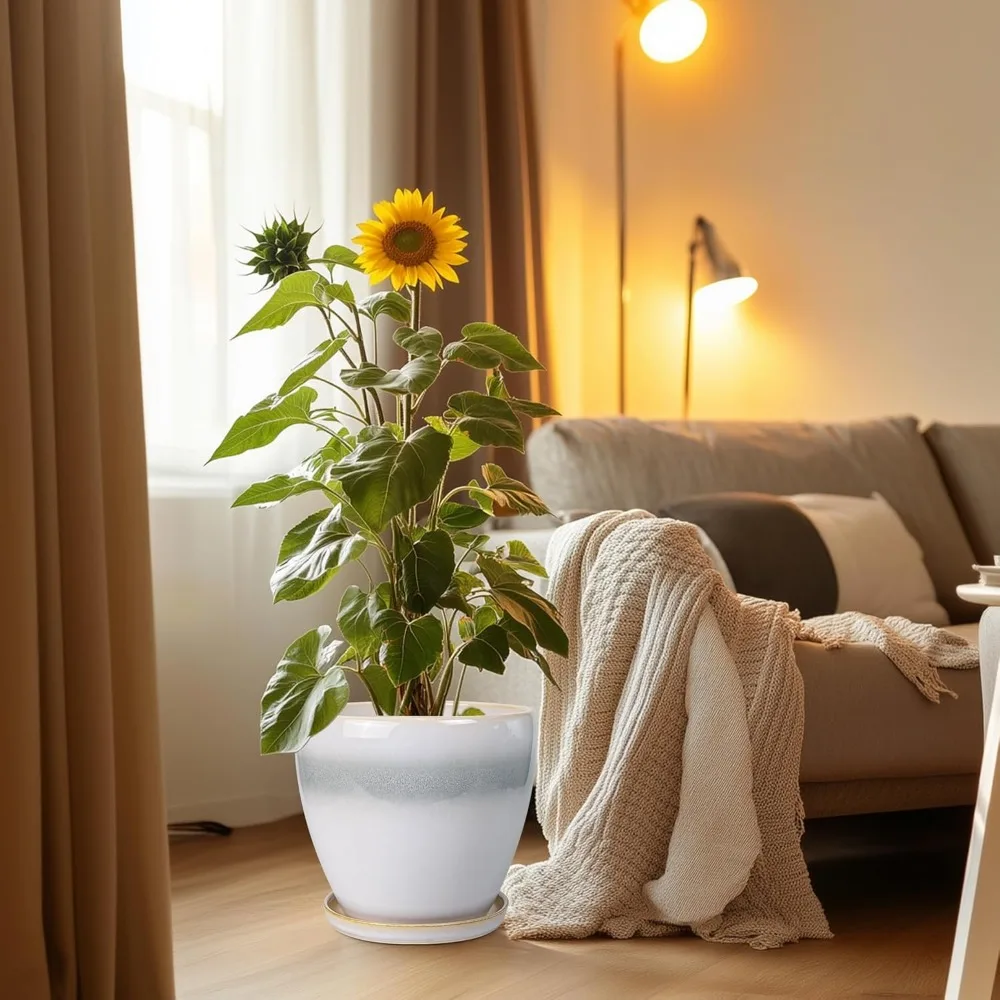 

10 Inch Ceramic Planter with Drainage Hole & Saucer - Large Indoor Outdoor Flower Pot for Home Decor, Plant Lovers Gift