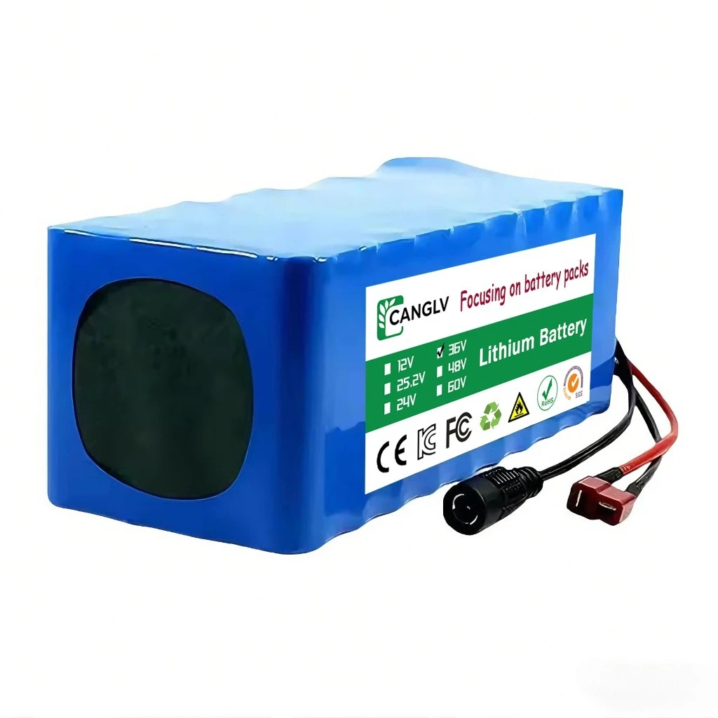 High Performance 36V 14Ah Actual Capacity 10S4P 18650 Lithium Battery Pack 500W for Electric Bicycle Scooter Car with 42V 2A