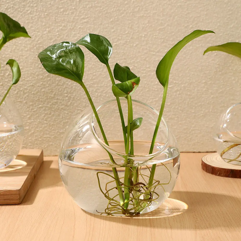 

Набор из 3 стеклянных террариумов для растений: современный наклонный дизайн, декоративные настольные емкости для суккулентов, воздушных растений и микроландшафтов