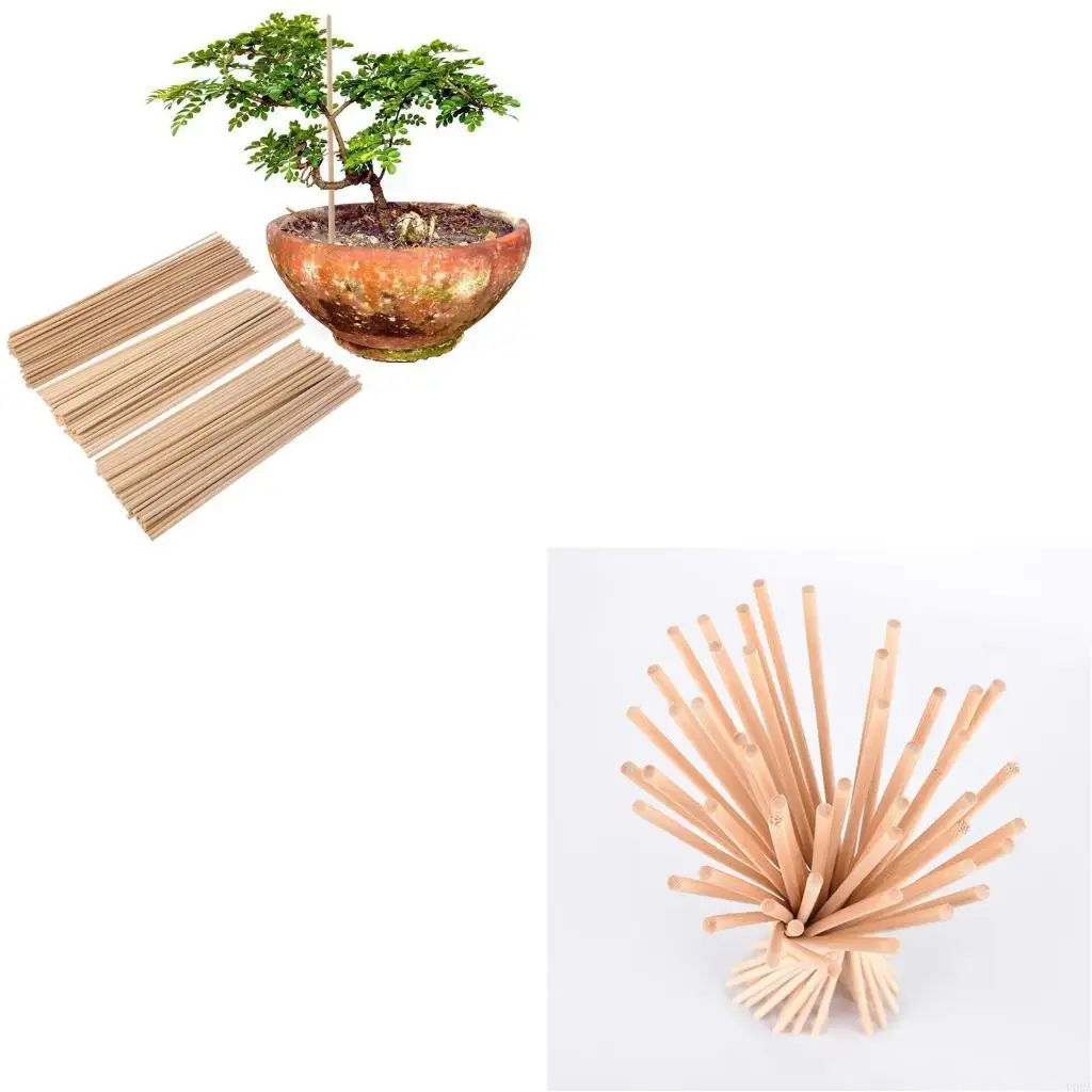 

Set of 50 Plant Support Sticks 30cm Reusable Plants Support Garden Flower Sticks