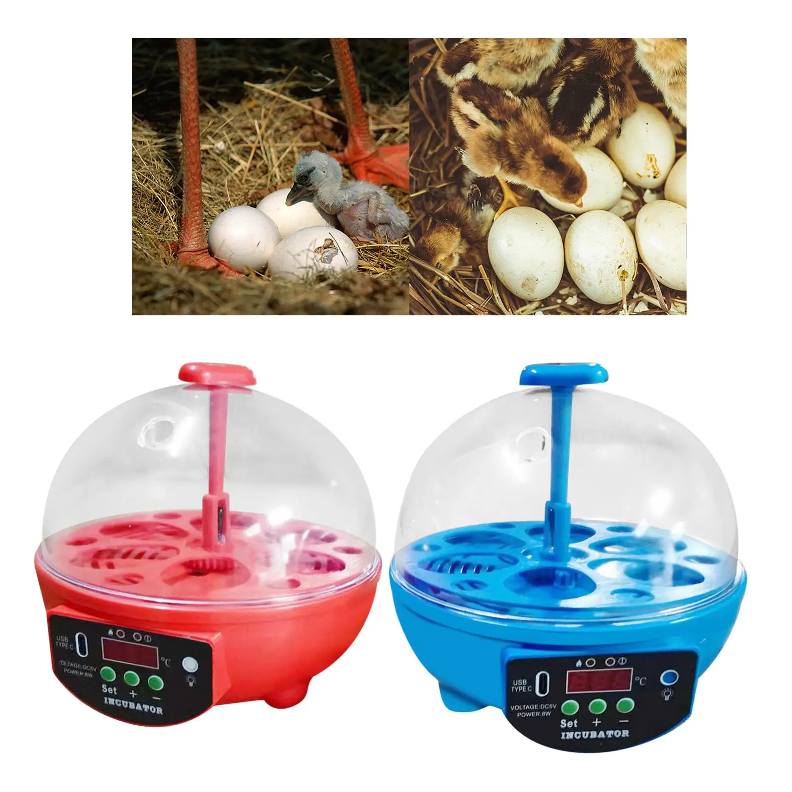 Egg Incubator, 6 Eggs Incubator for Hatching Eggs, Temperature Control and LED