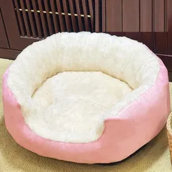 Bed for Cats Pet Products Cushions Kitten Goods Accessories Dog All Houses Supplies Things Accessory Habitats Basket House Beds