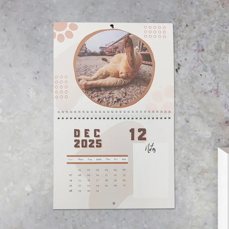 Cat Balls Calendar 2025 Funny Monthly Calendar Wall Calendar Wall Decor Thick Paper 12 Month Calendar Cat Butt 2025 Calendar For