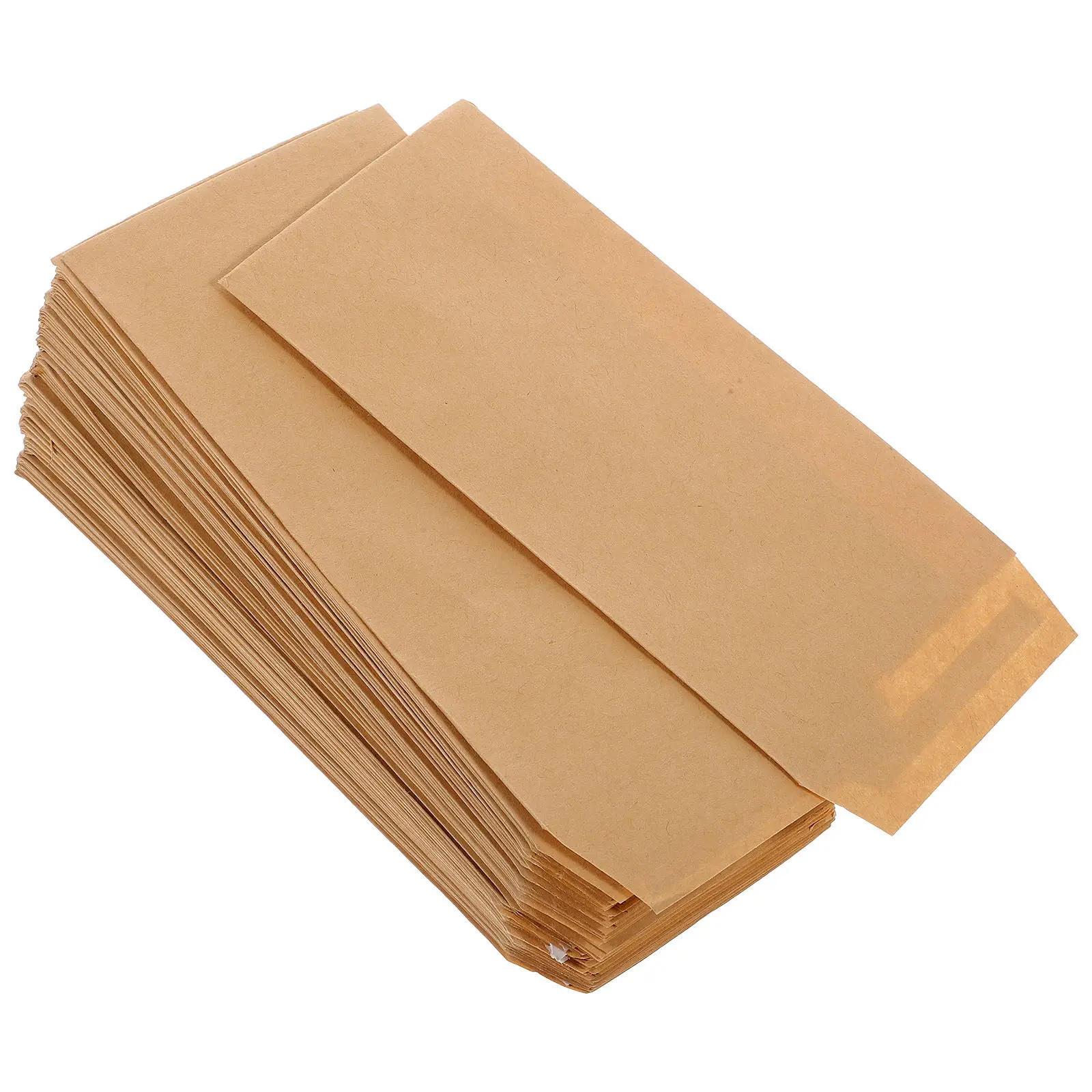 

100Pcs Seed Envelopes Small Kraft Envelopes Blank Mini Coin Money Storage Organizing Bags for Keys Cash Tickets Trinkets