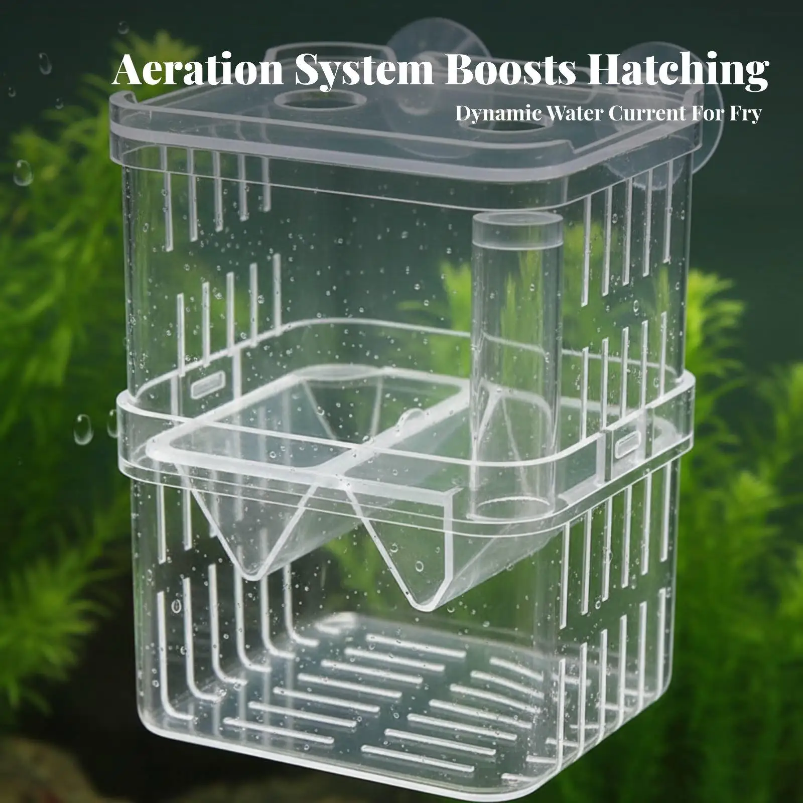 Betta Fish Breeding House Acrylic Isolation Box for Aquarium with Suction Cup and V Partition for Newborn Safe