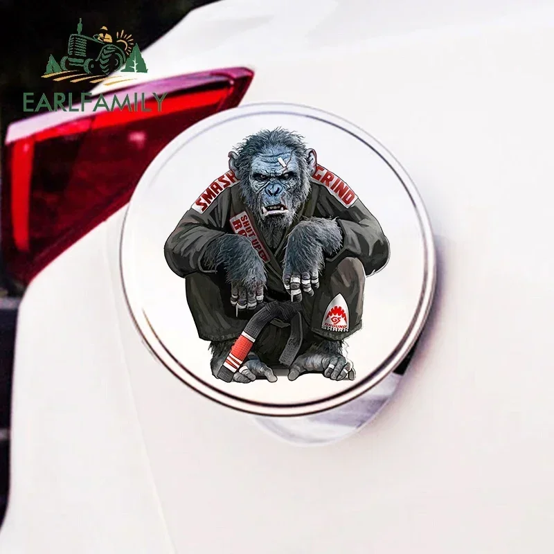 EARLFAMILY-Decalque de Janela Fina para a Arte Suave do Jiu Jitsu, Adesivos de Vinil Chimpanzé, Decalque SUV, Decoração de Impressão Personalizada,