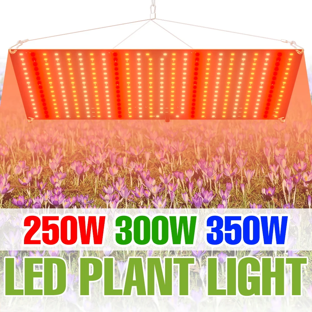 

350W Full Spectrum LED Plant Grow Light Sunlight Quantum Board Seeds Cultivation Lamp 220V Greenhouse Hydroponic Vegs Growth Box