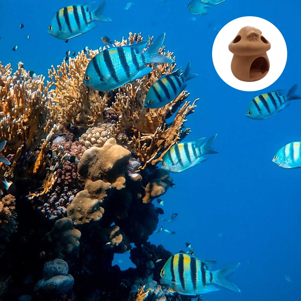 الروبيان المأوى حوض السمك تفقيس وعاء للأسماك البيض وضع التفريخ يمكن خزان الأسماك الديكور المشهد زخرفة #4