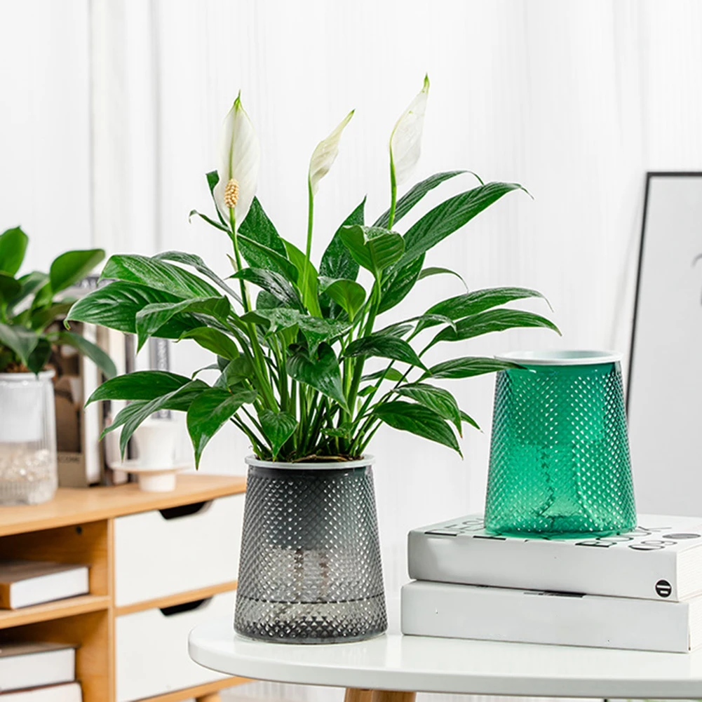 자동 물 흡수 수경 화분, 투명 플라스틱 자체 급수 화분, 사무실 원예 화분