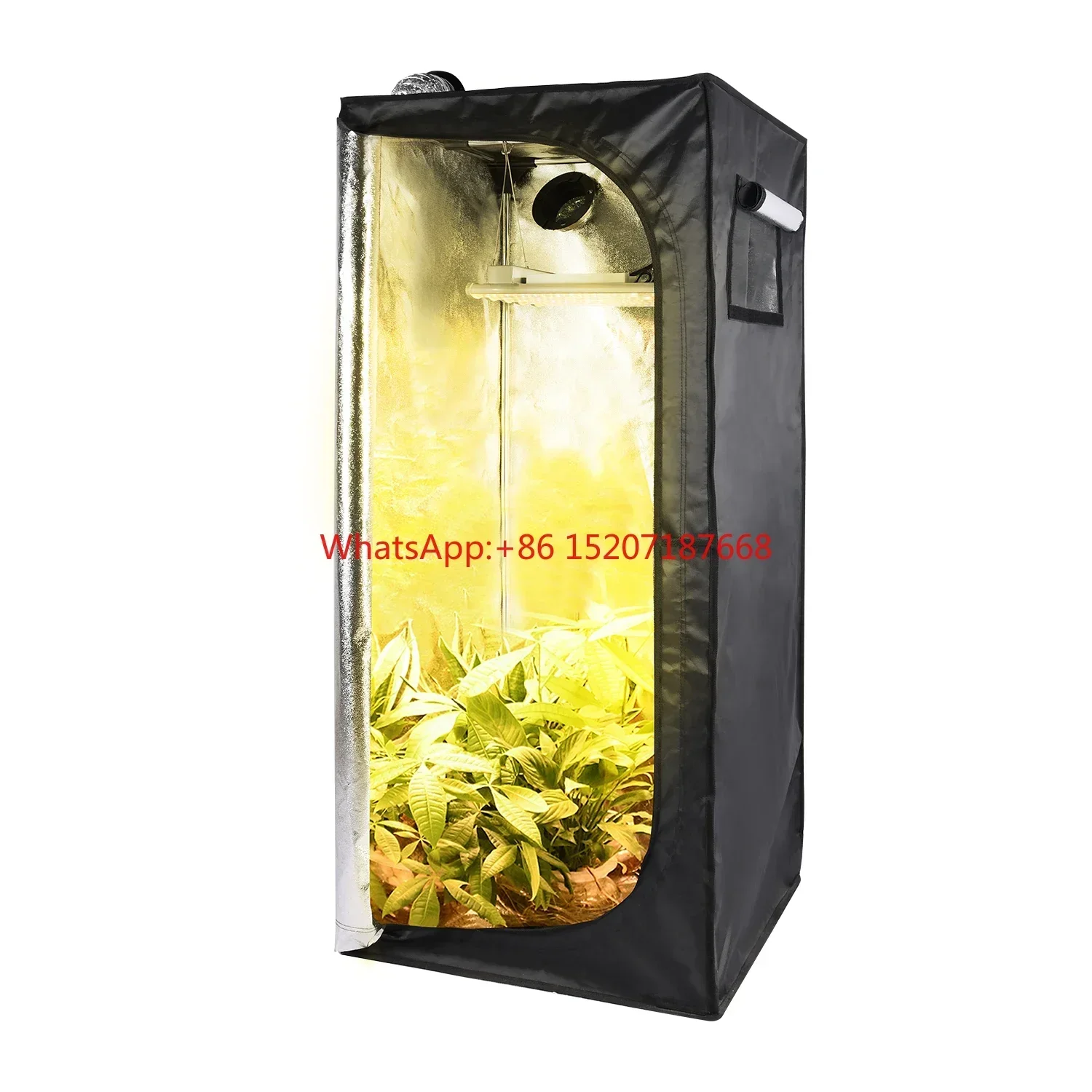 Full Spectrum hydroponic 120x120cm grow tent kit full packing home grow 240W led grow light for Indoor plants